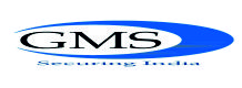 GMS Securtech